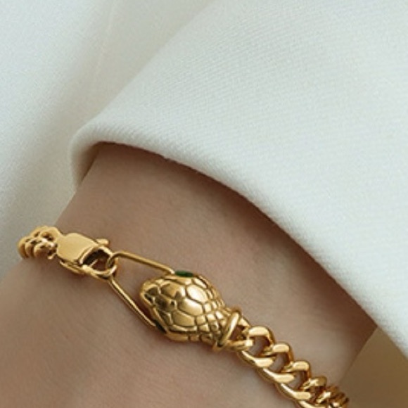 Snake Head Chain Titanium Steel Bracelet - Picture 7 of 7